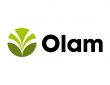 Olam-